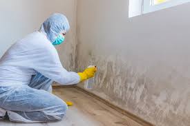 Best Residential Mold Inspection & Testing  in Carlinvle, IL