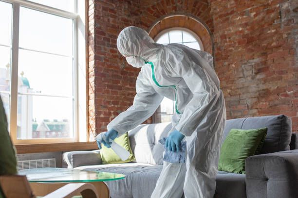 Best Asbestos and Lead Testing During Mold Inspection  in Carlinvle, IL