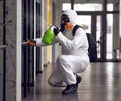 Why You Should Choose Our Mold Remediation Services in Carlinville, IL